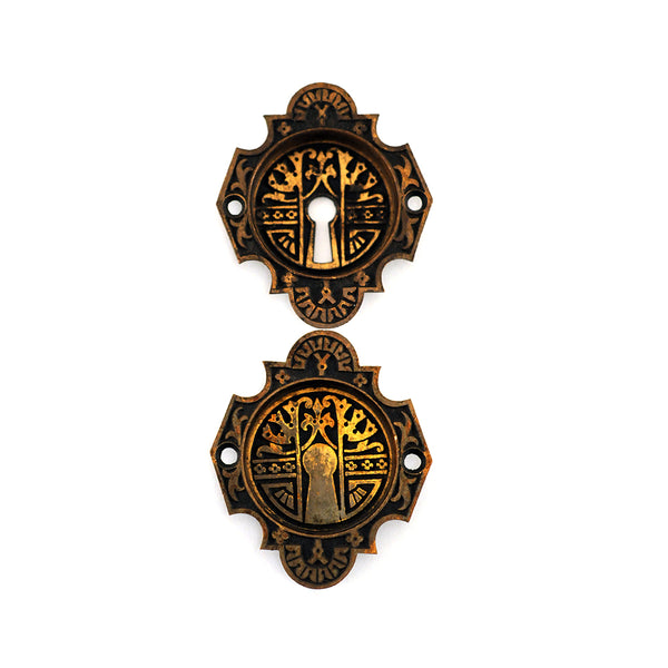 pair of pocket door pulls